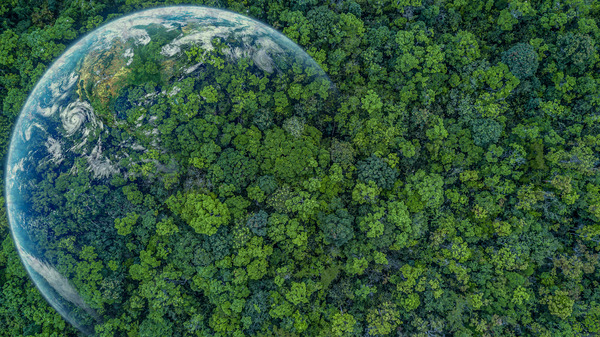 Wurzer Umwelt: Nachhaltige Materiallösungen für Bau und Industrie