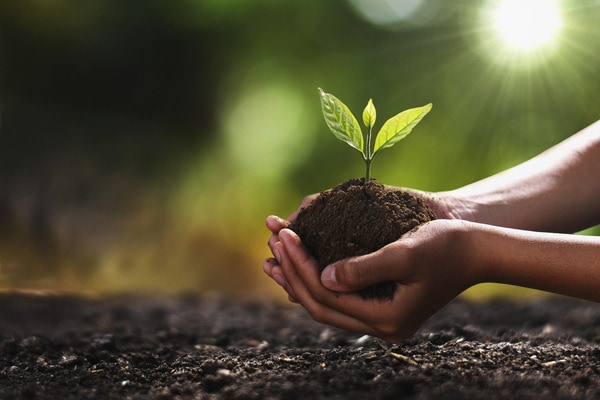 Bei Wurzer Umwelt gehen Effizienz und Umweltschutz Hand in Hand